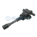 [29GC4802] BOBINA ENCENDIDO JAC 471Q 2L J2 J3 BOB ZOTYE F3 F6 BYD HAFEI LOBO 1.1 SIGMA CHERY QQ  2P GC4802 LEIG214 0221500802